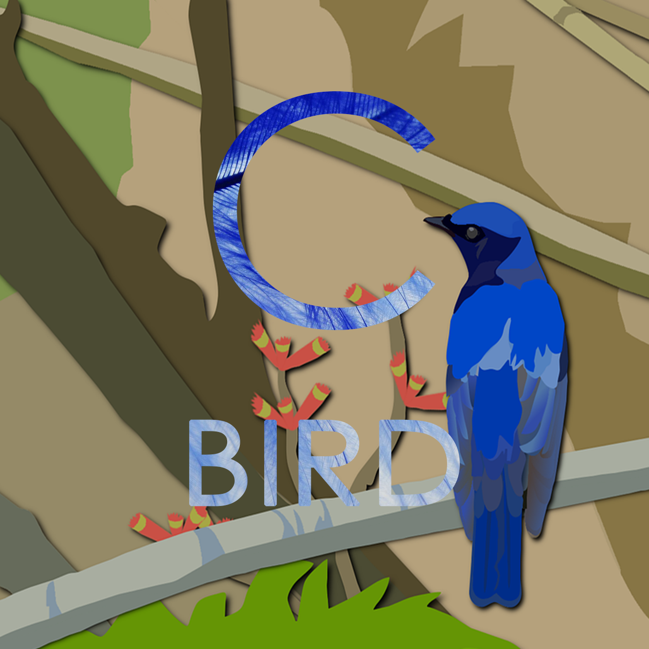 CBird